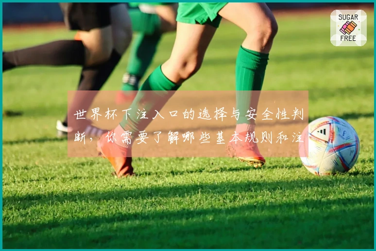 世界杯下注入口的选择与安全性判断，你需要了解哪些基本规则和注意事项？