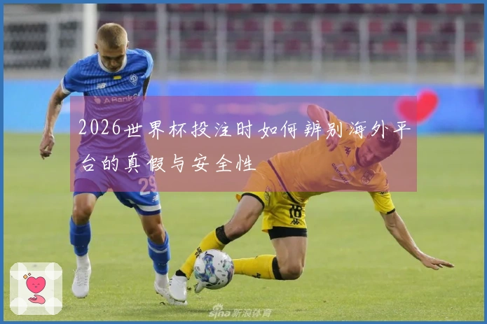 乐鱼体育资讯图片