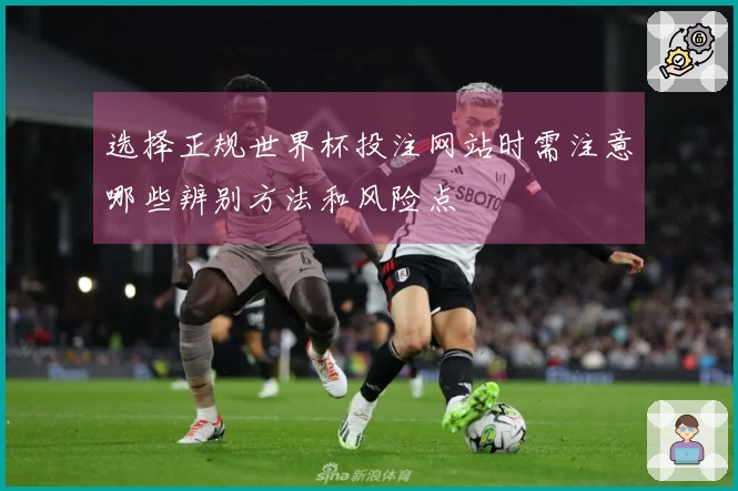 选择正规世界杯投注网站时需注意哪些辨别方法和风险点